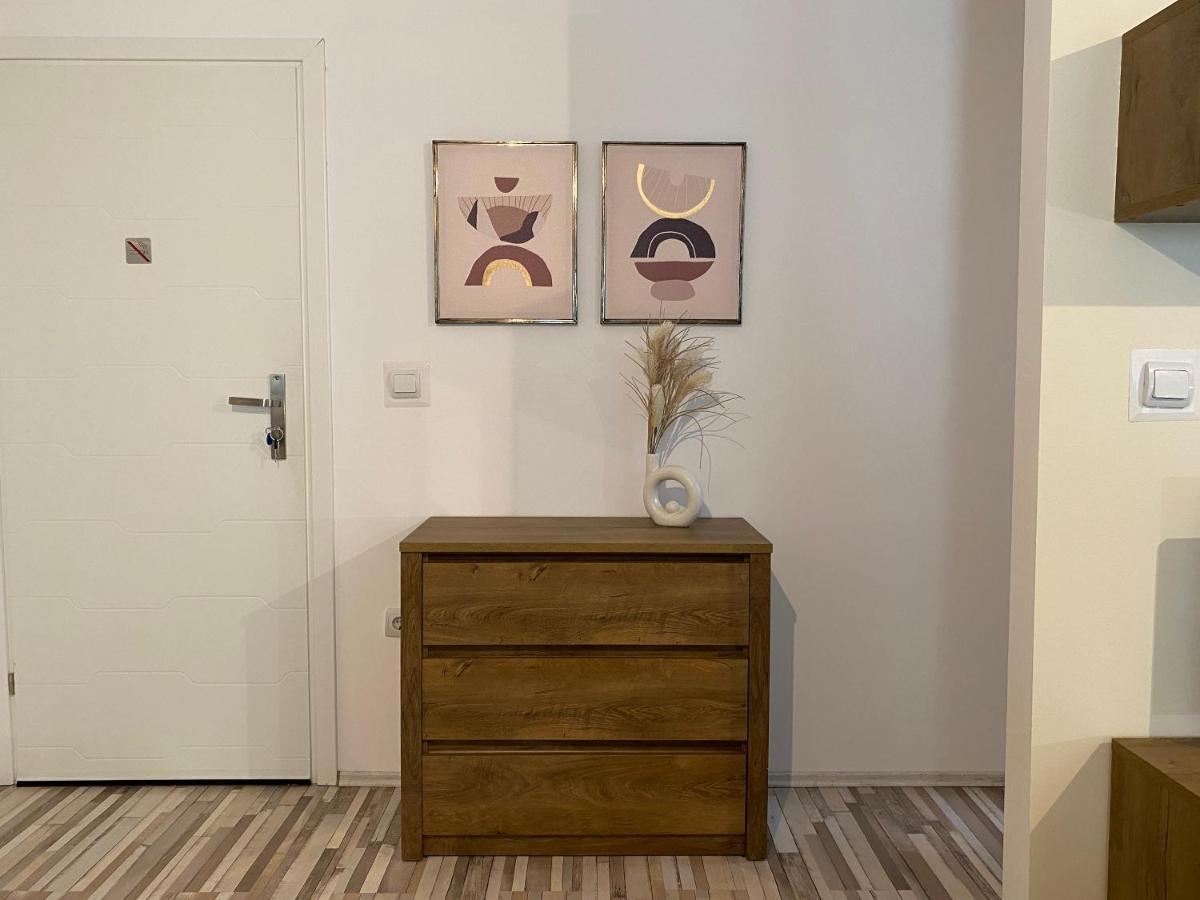 Urseni Studio Apartment Тимишоара Экстерьер фото
