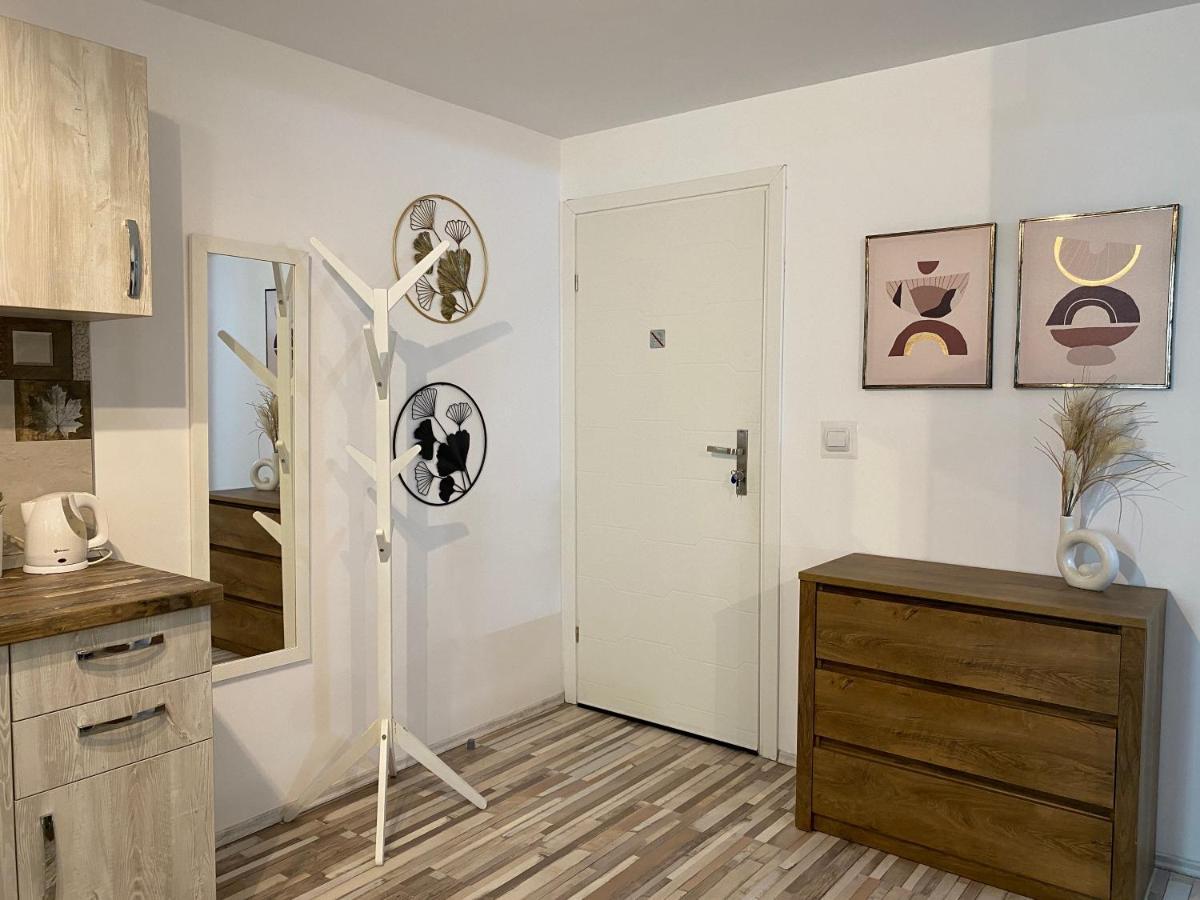Urseni Studio Apartment Тимишоара Экстерьер фото